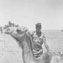 231ATN SMARA